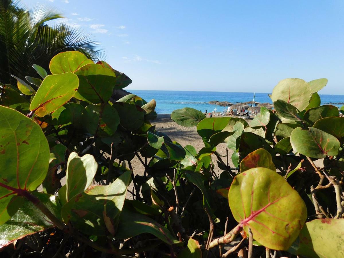 Brisas Del Mar Apartman Costa Adeje  Kültér fotó