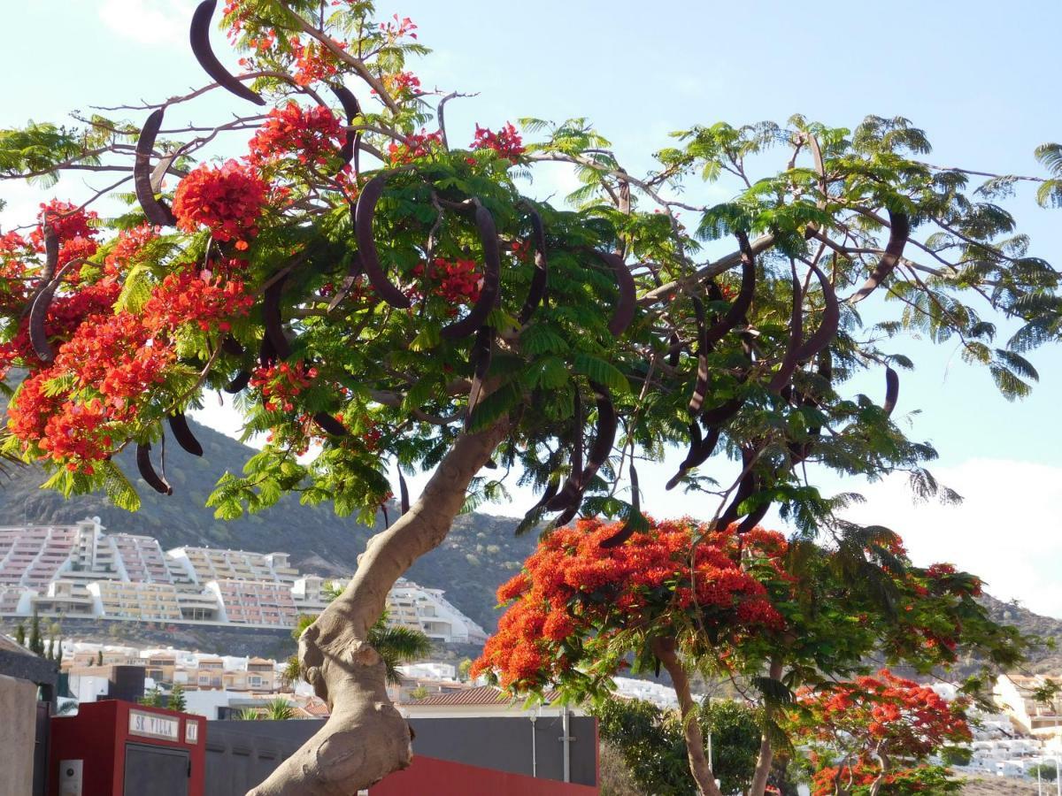 Brisas Del Mar Apartman Costa Adeje  Kültér fotó